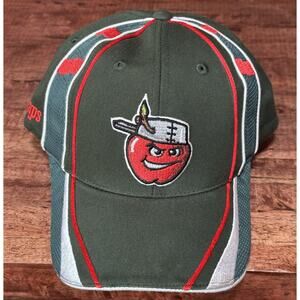 Fort Wayne Tincaps Baseball Cap Hat Elite Series